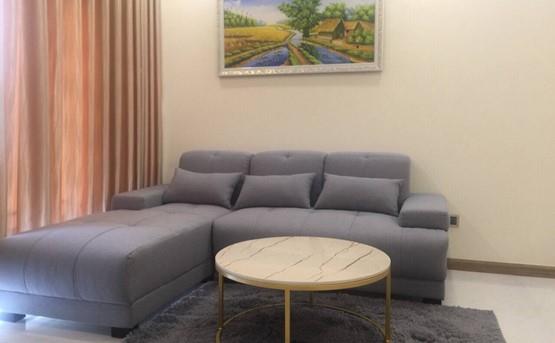 apartment for rent in binh thanh district BT105P3131 (4)